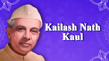 video image